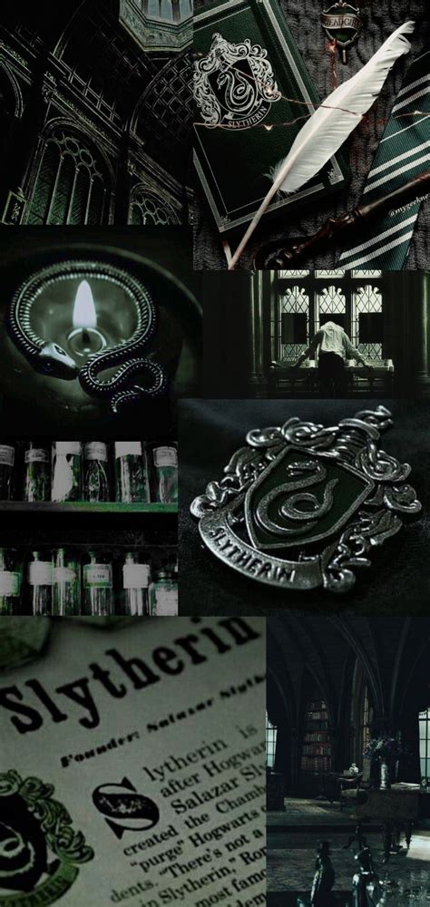 Slytherin Harry Potter Harry Potter Draco Malfoy Slytherin House