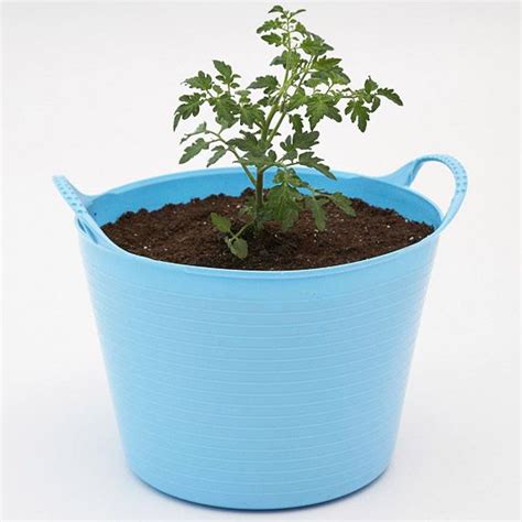 They look very pretty, they are easy to carry around, and they are cheaper. Make a Tomato Tub | Growing plants, Vegetables and Buckets