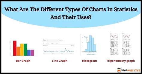 Top 8 Different Types Of Charts In Statistics And Their Uses