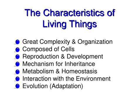 Ppt The Characteristics Of Living Things Powerpoint Presentation