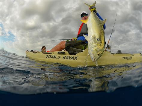 Take a look at the frenzy. Ocean Kayak Johnson - Kayak Explorer