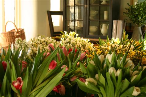 Lincolnshire Tulips Waiting To Be Tied Into Gorgeous Winter Posies At