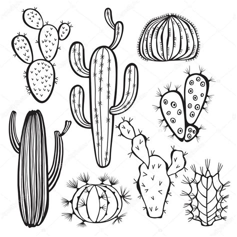 Cactus Isolated On White Background Stock Vector Image By ©maritimem