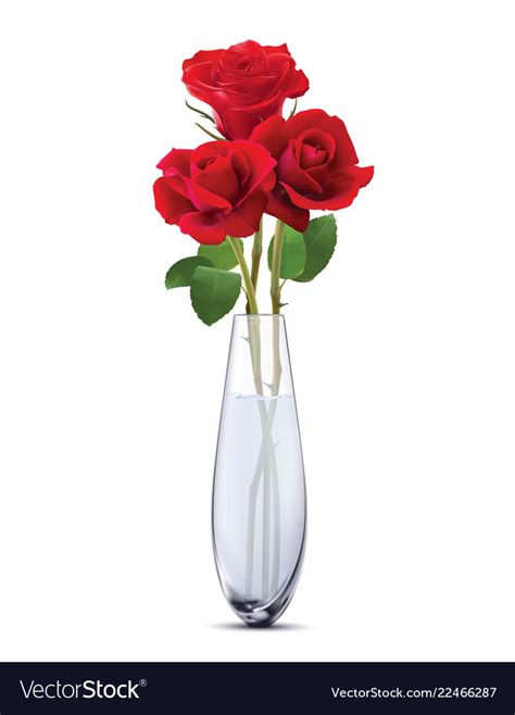 Roses In A Glass Vase Isolated Realistic D Vector Image My XXX Hot Girl