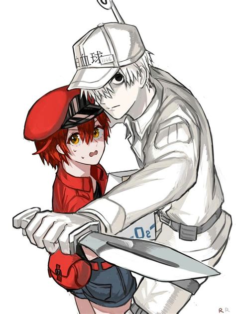Cells At Work White Blood Cell X Red Blood Cell Shōnen Manga The