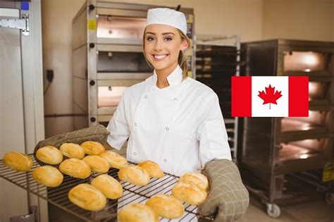 Top Jobs in Canada in 2022 and How to Apply - Canada Jobs