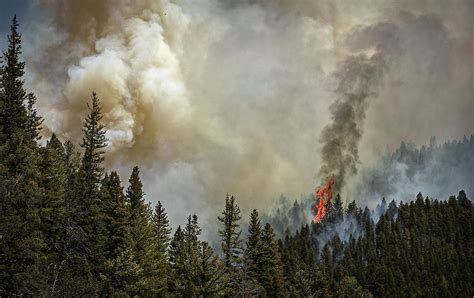New Mexico Fires Prompt Forest Closures Governor Seeks Aid Ap News