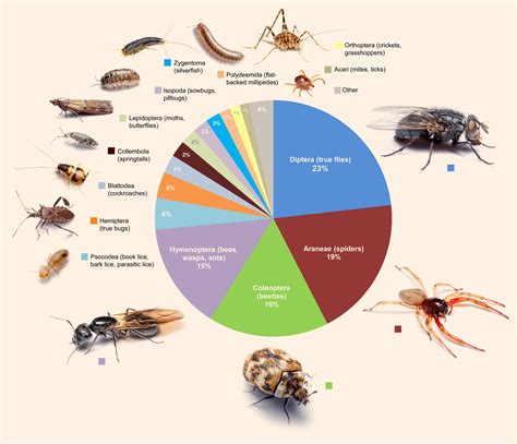 Insects Species And Their Distribution Forestrypedia
