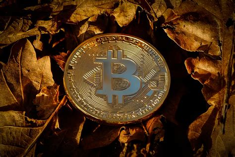 How to buy or sell bitcoin cash anonymously in 2020. P2P Marketplace Paxful Joins Forces With BitLipa To Allow ...