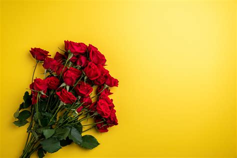 Yellow And Red Roses Background