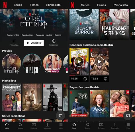 Netflix Premium Melhor App Para Assistir Filmes E Series De Graa