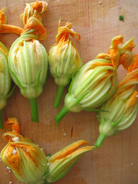 Check spelling or type a new query. sweetsugarbean: Savouring Summer: Zucchini Flowers Stuffed ...