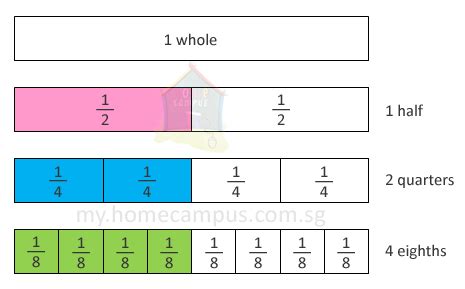Improve your math knowledge with free questions in equivalent fractions and … Equivalent Fractions - Home Campus