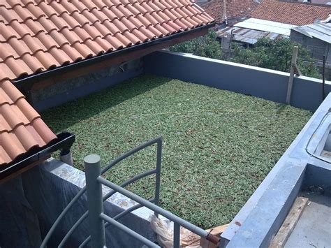 Jadi anda tidak perlu risau jika ingin menggunakan bentuk atap yang satu ini karena cukup melindungi dengan baik. Atap Rumah Minimalis