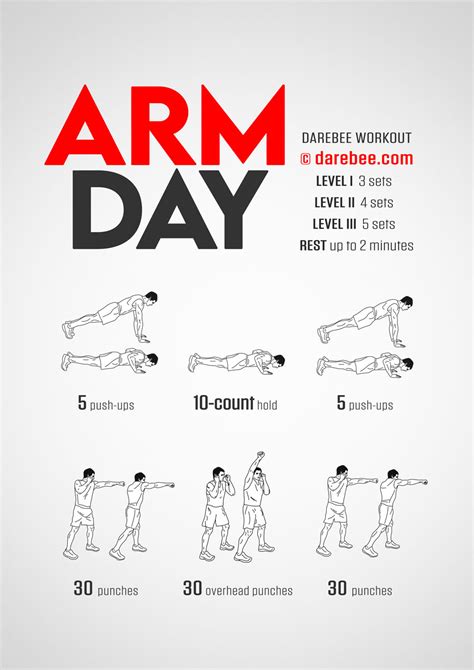Easy Arm Workouts For Beginners Tutorial Pics