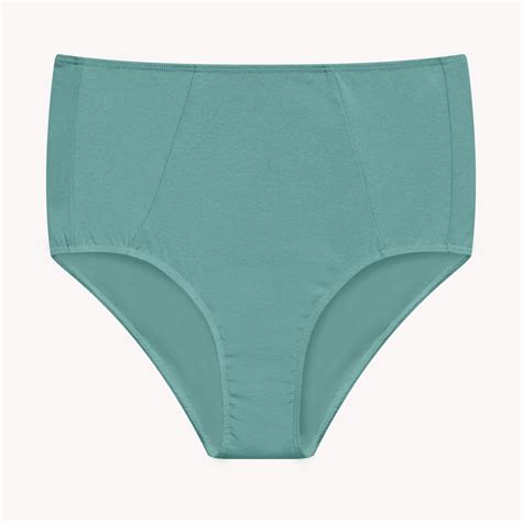 Pantie Pants Rip Shorts Underwear Undies