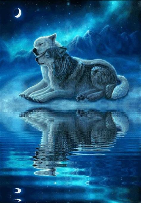 Wolf Couple Wolves Moon Night Lake Fantasy Tier Wallpaper Wolf
