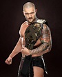 Hall of NXT Champions: photos | WWE Seth Freakin Rollins, Wwe Champions ...