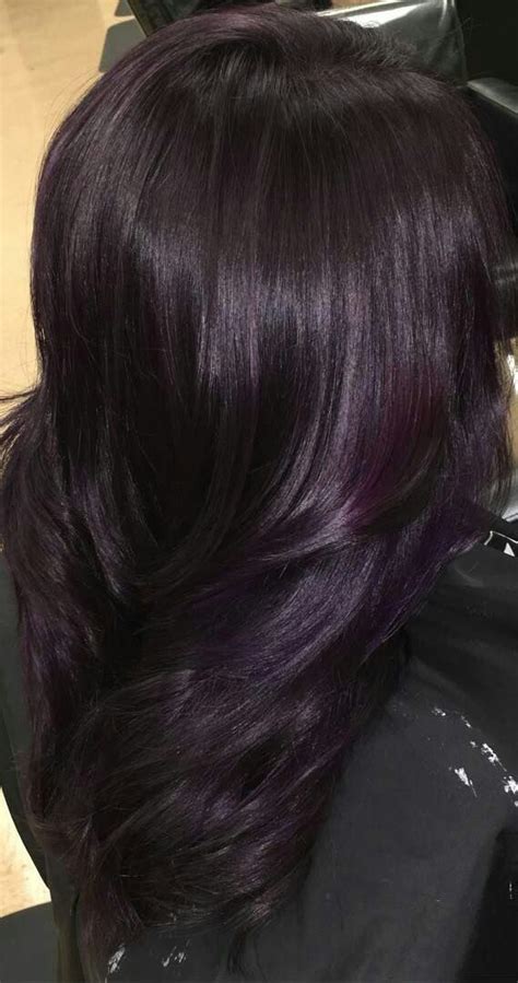 Dark Purple Hair Color Ombre Hair Color Hair Dye Colors Brown Hair