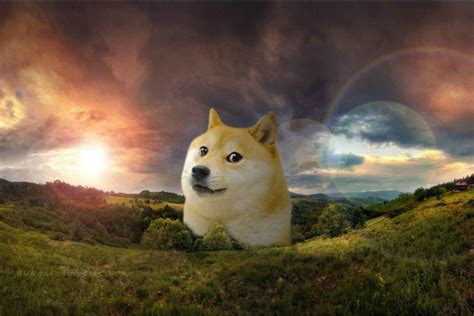 Doge Wallpapers ·① Wallpapertag