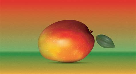 How To Create A Realistic Mango In Adobe Illustrator