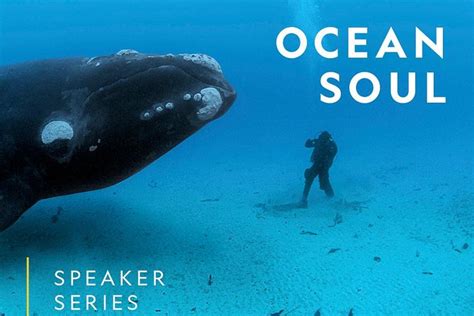 National Geographic Live Ocean Soul With Underwater Photographer Brian