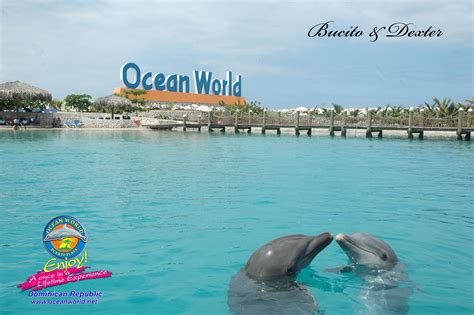 Ocean World Adventure Park Puerto Plata Oceans Of The World Adventure Park Dominican Republic