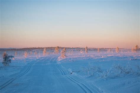 Winter Landscape In Hedmark County Norway Stock Image Image Of Trees