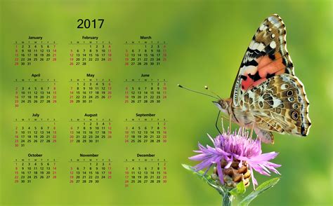 2017 Calendar With Butterfly Free Stock Photo Public Domain Pictures