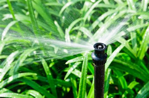 No time for any lawn mower maintenance at all? Lawn Sprinkler Maintenance Suffolk County, Patchogue ...