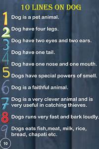10 Lines On Dog In English For Kids Your Hop