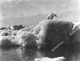 Sos Iceberg Sos Eisberg 1933 Editorial Stock Photo - Stock Image ...