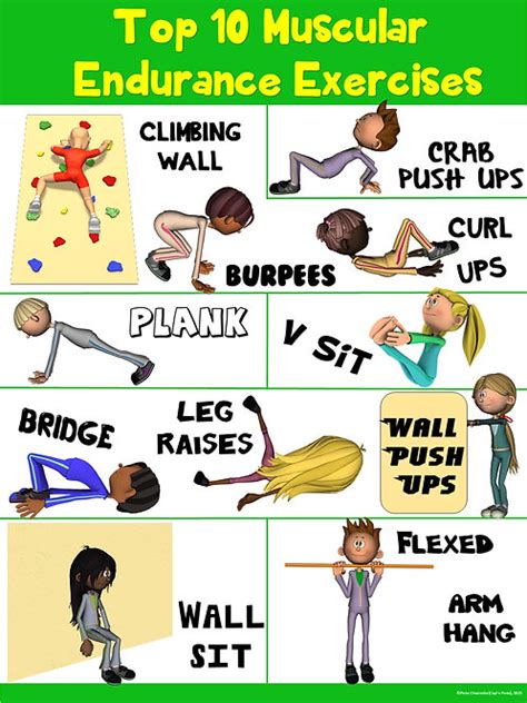 Pe Poster Top 10 Muscular Endurance Exercises Capnpetespowerpe