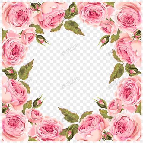 Pink Rose Border Texture Png Imagepicture Free Download 400389518