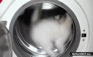 Washing Machine Gif Pics