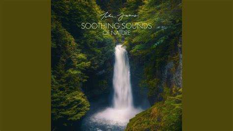 Soothing Sounds Of Nature With Ambient Nature Sounds Youtube