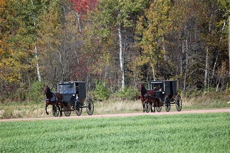 Amish Autumn Ride 3 Photograph By Brook Burling Fine Art America