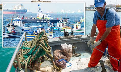 Spanish Trawlers Illegally Fish British Waters Every Day Investigation