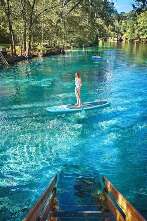 Tips For Ginnie Springs A Perfect Florida Oasis Florida Trippers