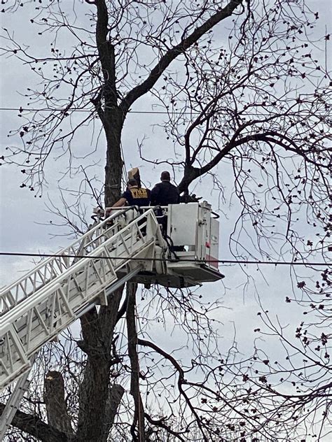 Breaking Man Found Hanging In Tree Investigation Underway