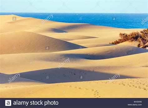 Dunes Of Maspalomas Nature Reserve Gran Canaria Canary Islands Spain