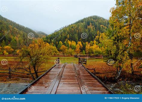 Mountains With Colorful Autumn Forest At Overcast Beautiful Landscape