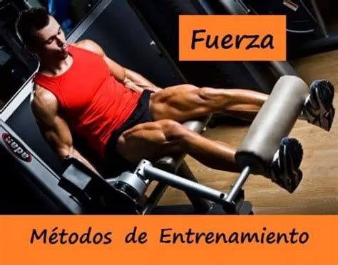 Cómo Mejorar Sus Entrenamientos De Fuerza Material De Deporte Barato