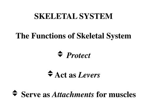 Ppt Skeletal System The Functions Of Skeletal System Protect Act As