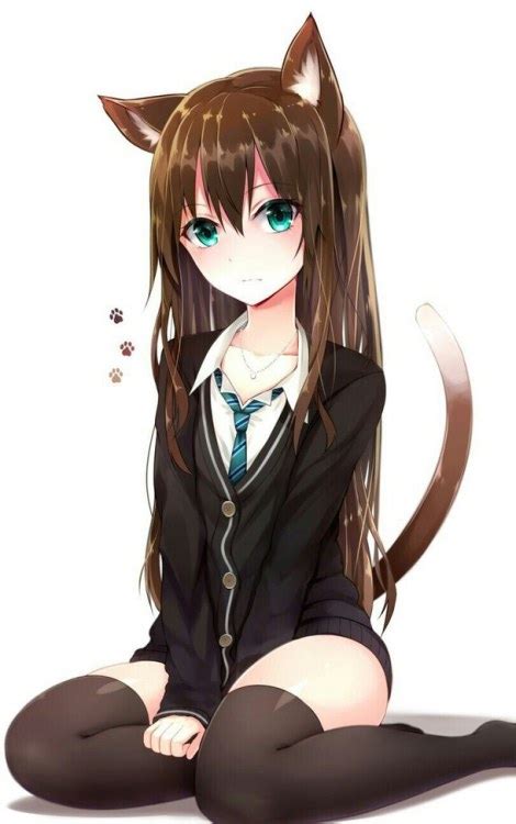 Anime Neko On Tumblr