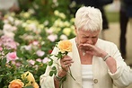 Chelsea Flower Show: Dame Judi Dench smells David Austin rose named ...