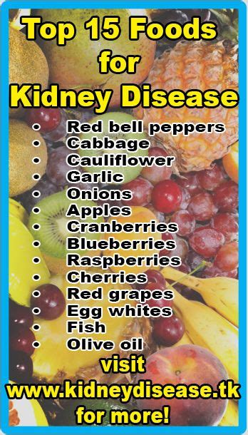 Diabetes renal diet recipes : Over The Counter Cat Food For Kidney Disease ...