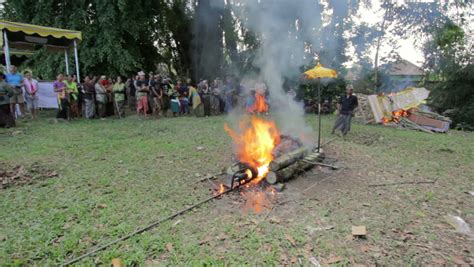 bali may 2012 burning dead body in balinese funeral stock footage video 2920945 shutterstock