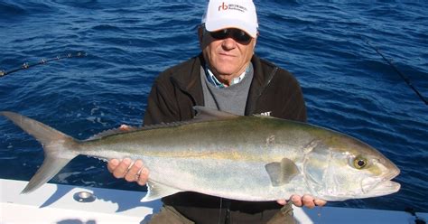 Show Me The Fish Charters All Consuming Amberjack Awersomeness