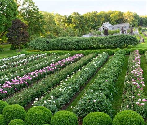 17 Best Images About Martha Stewarts Garden Farm On